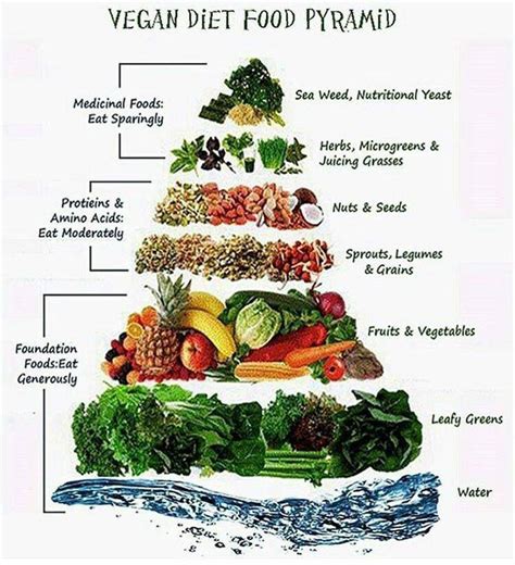 Vegan Food Pyramid Vegan Green Planet