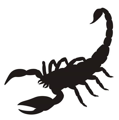 Scorpion Outline Clipart Best