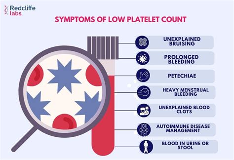 Platelet Count Test Price Purpose Preparation Result 2023