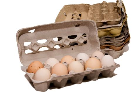 Separate one cup from an egg carton. 7 Creative Uses for Egg Cartons