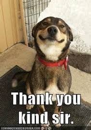 One does not simply say thank you without a meme. thank you images | pictures to help you express your gratitude. Image result for Thank You kind sir~ | Missing you memes ...