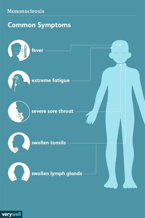 Mononucleosis Signs Symptoms And Complications