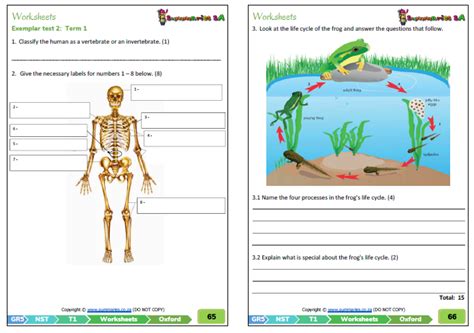 Science relies on testing ideas with evidence gathered from the natural world. Grade 5 Natural Science & Technology Term 1 (Oxford Textbook) - Teacha!