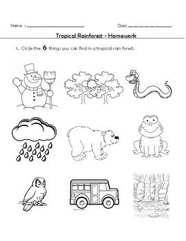 Theme Worksheet Tropical Rainforest By Teacher Shauna Esl Tpt