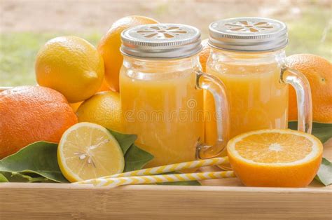 Fresh Orange Juice Fruit And Straws Stock Photo Image Of Juice