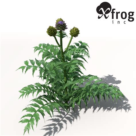 Xfrogplants Artichoke 3d Model Cgtrader