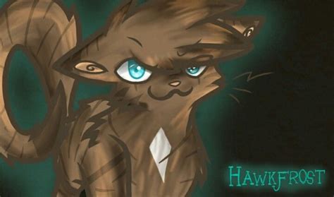 Hawkfrost Hes My Fave For Nowlol Pretty Cats Warrior Cats Series Warrior Cats