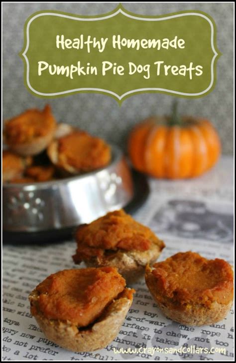 Mix eggs, banana and pumpkin together. Dog Treat Recipes for Thanksgiving