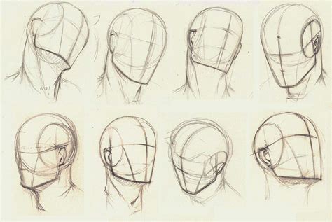 Head Drawing Reference And Sketches For Artists