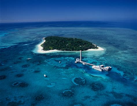 Great Barrier Reef Tour 7 Day Reef Passport Save Over 200