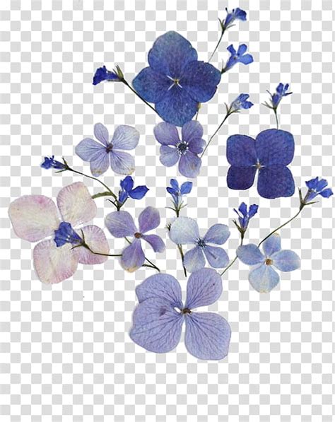 Upload a photo from your computer and use the photo editor to crop and adjust the image settings. PURPLE AESTHETIC RESOURCES, blue and white flowers ...