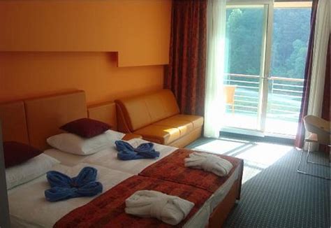 Hotel Zdravilisce Lasko СловенияЛаско отзывы фото и сравнение цен
