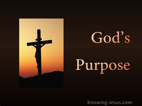 Gods Purpose