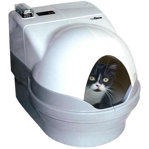 Best Automatic Litter Box For Multiple Cats Pawsome Critters