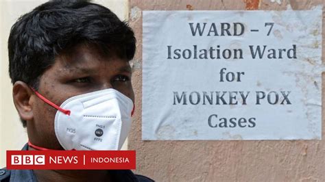 Who Tetapkan Cacar Monyet Darurat Kesehatan Global Satu Kasus Terkonfirmasi Ditemukan Di