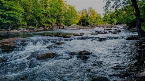 Leiser Funeral Home Cadott Wisconsinredpit Category