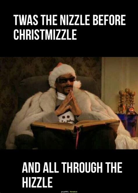 30 Funny Christmas Memes 3 Christmas Quotes