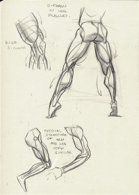 Skulls, and the muscles and features built. http://tulptorials.blogspot.nl/2014/04/anatomy.html ★ || CHARACTER DESIGN REFERENCES | キャラクター ...