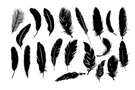 Download Feathers clipart silhouette, Feathers silhouette ...
