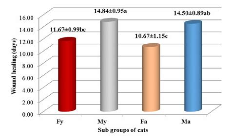 Wound Healing Days Of Young And Adult Cats In Group F And Group M