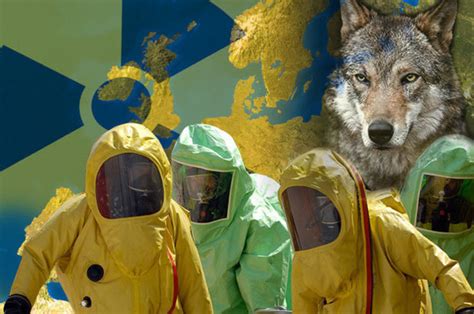 Chernobyl Wolves Could Spread Mutant Genes As Animals Take Over Nuclear