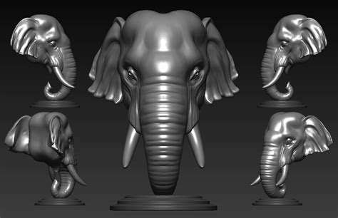 Elephant Asian Bust 3D Model 3D Printable CGTrader