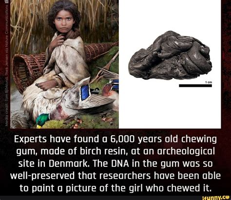 Experts Have Found A 6000 Years Old Chewing Gum Made Of Birch Resin