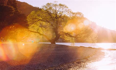 Stewart Baird Photography Landscape Photographs From New Zealand