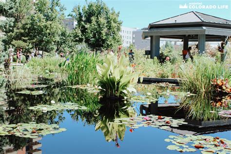 One of the best times to the see the art is in the twilight hours. Visiting the Denver Botanic Gardens: A Complete 2020 Guide ...