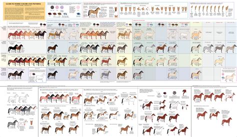 Use our color chart calculators. View topic - Re: Freedom Forest Dwellers ~ Adoption Thread ...