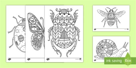 This lovely set of colouring sheets features a selection of different bugs and insects. Bugs Mindfulness Coloring Sheets (teacher made)