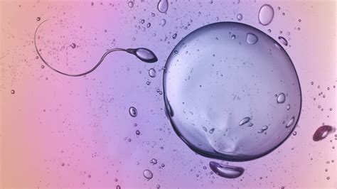 Donor Sperm Insemination Cost Process And Success In India