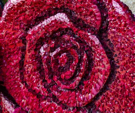 Rose Made Of Rose Petals Free Stock Photo Public Domain Pictures