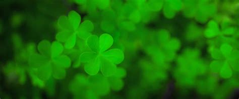 Saint Patrick's Day 2021, 2022 and 2023 - PublicHolidays.us