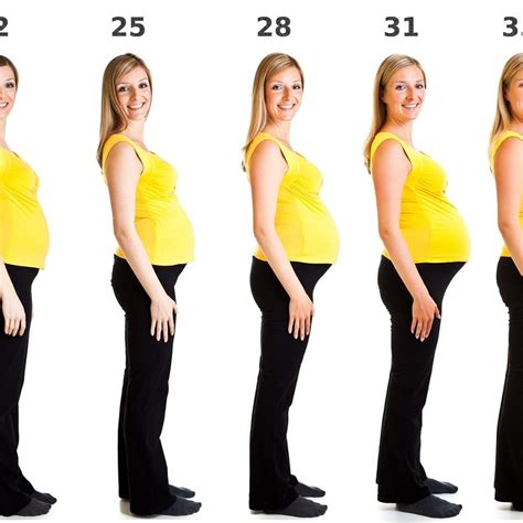 breast size increase after pregnancy