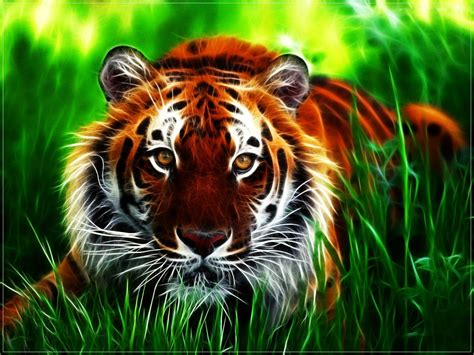 Animals wallpapers for Android. Wallpapers on desktop - page 81