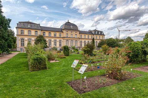 Das botanischer garten ist ein museum in heidelberg. Botanischer-Garten-Bonn - Botanischer Garten