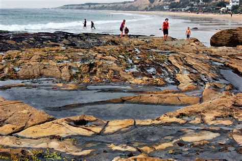 Crystal Cove Tide Pools 2 Laguna Beach Ca Please Dont Us Flickr