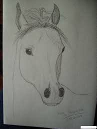 Cele mai interesante desene in creion. Imagini pentru desene in creion cu animale simple | Easy ...