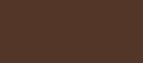 Css properties allow authors to. HEX color #533528, Color name: Indian Tan, RGB(83,53,40 ...
