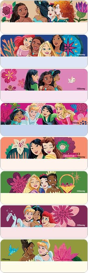 Disney Princess Friends Address Labels Checks Superstore