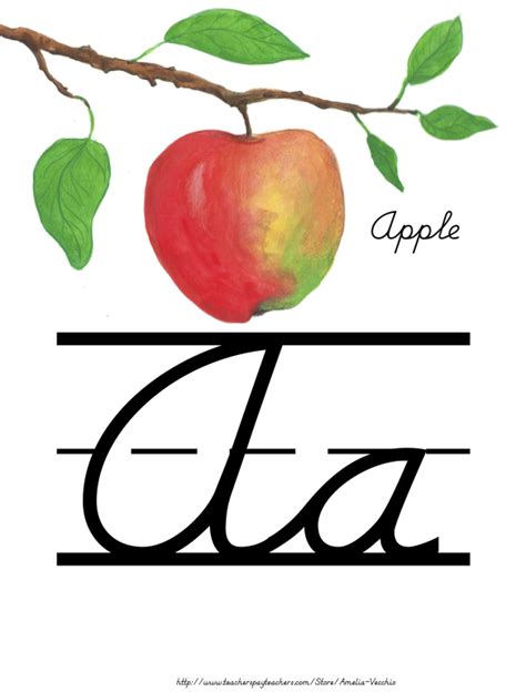 The alphabet of thomas shelton's english shorthand system (1626/1638). Amelia's Teacher Boutique: Cursive Alphabet Line