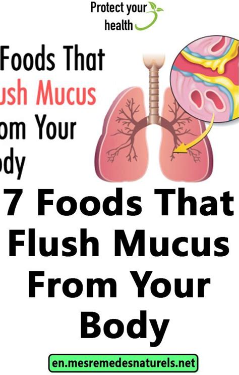 Mucus can be a major problem for people with copd. 7 Foods That Flush Mucus From Your Body | Mucus, Body, Flush