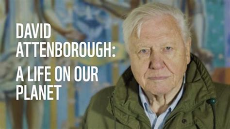 David Attenborough A Life On Our Planet Official Trailer New Idea