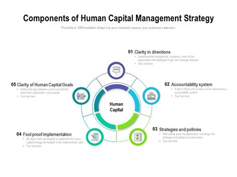 Components Of Human Capital Management Strategy Powerpoint Slide