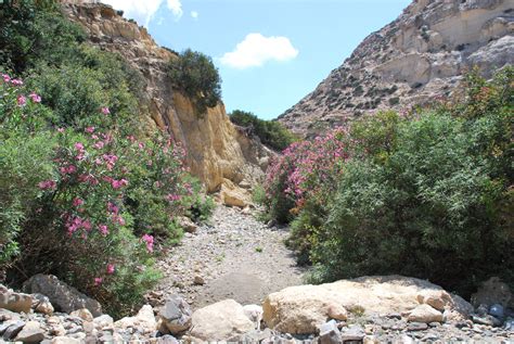 Wandern Auf Kreta Agiofarango Schlucht Patricias Reise Und