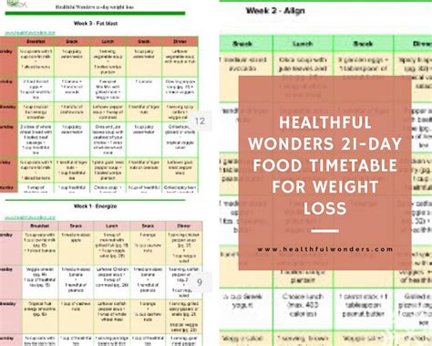 The 21-day Nigerian food timetable for fast weight loss pdf