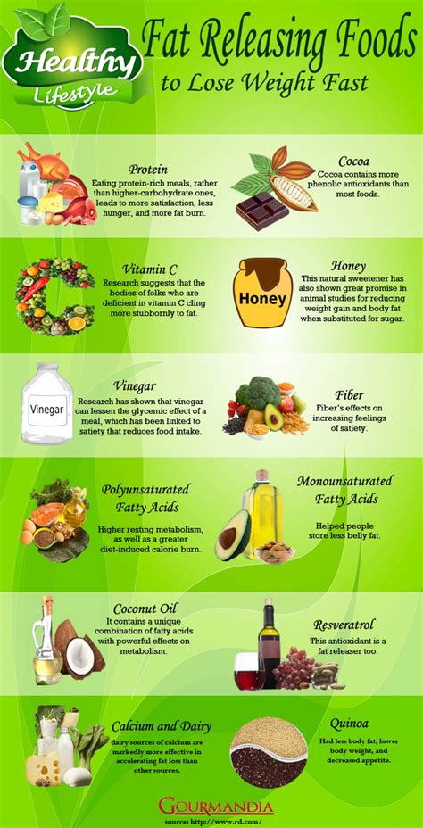 Infographic Fat Releasing Foods To Help Lose Weight Econugenics Blog