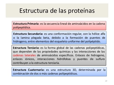 Cuadro Comparativo De Las Estructuras De Las Proteinas Reverasite