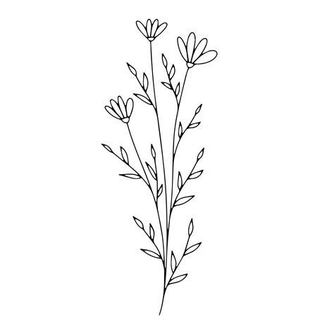 Botanical Line Art Floral Leaves Plant Hand Drawn Sketch Branch